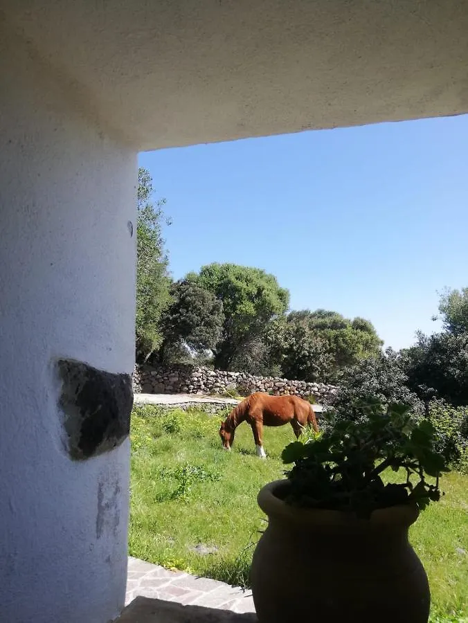 Sa Ruscitta Bed & Breakfast Sant'Antioco 0*,