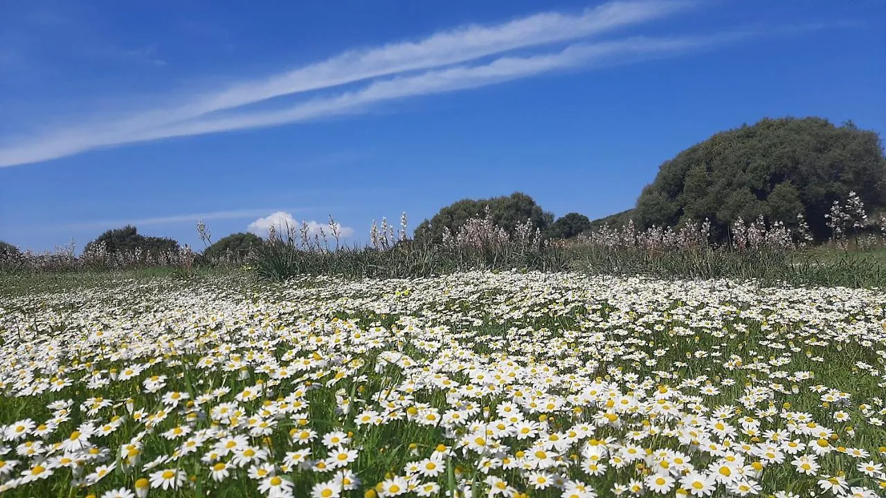 SantʼAntìoco Sa Ruscitta Bed & Breakfast
